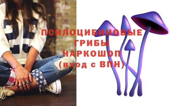 spice Киреевск