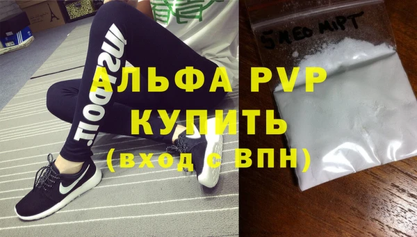 гашик Карпинск