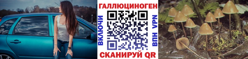 Псилоцибиновые грибы Cubensis Котельники