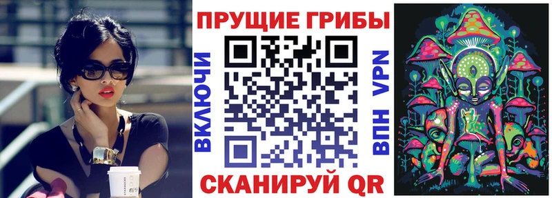 Галлюциногенные грибы Magic Shrooms  Купить где  Котельники 